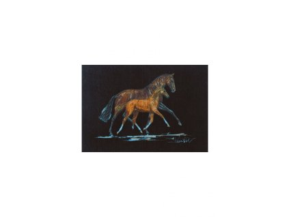Rohozka HKM Jan Kunster 60 x 40 cm 0801202414541462287