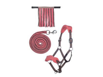 Set ohlavky s voditkem a trasnemi HKM ruzova 1803202413403753964