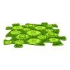 meadow lime w02