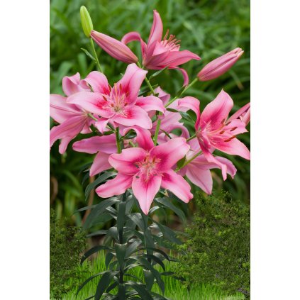 Child in Time 2592x3888 (2)