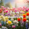 img jarni cibuloviny