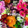 img kvetiny