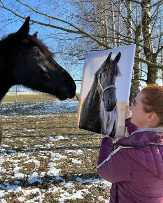 💜💜💜 #leiwand #pferd