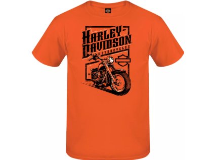 Pánské tričko (Velikost 2XL)