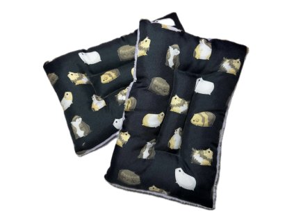 1D570FC3 1933 41A9 9B9B 6B6F71898993