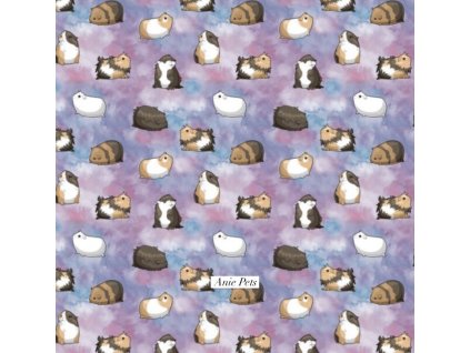 AC62F5AC 03E5 4F6A 9A31 9857D0E21241