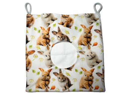 1FD12448 A564 4401 9D78 464EA218DD27 2