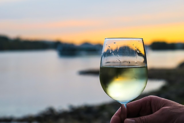 vino_bile_degustace