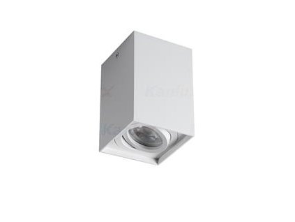 Kanlux GORD XS DLP-50-W Prisadené svietidlo - biela