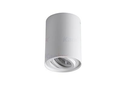 Kanlux BORD XS DLP-50-W Prisadené svietidlo - biela
