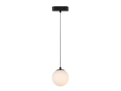 Závesné koľajnicové svietidlo LiTrack Pend.01W 70109