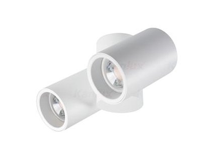 Kanlux BLURRO 2xGU10 CO-W Stropné bodové svietidlo - biela