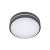 Rabalux Hamburg 8848 - LED 12 - antracit