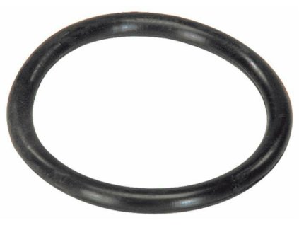 O-Ring 166 mm/19 mm - BAUER