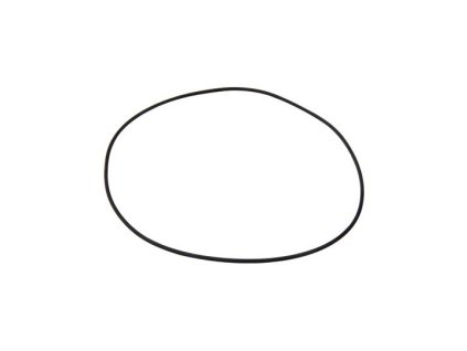 O-Ring 4x198
