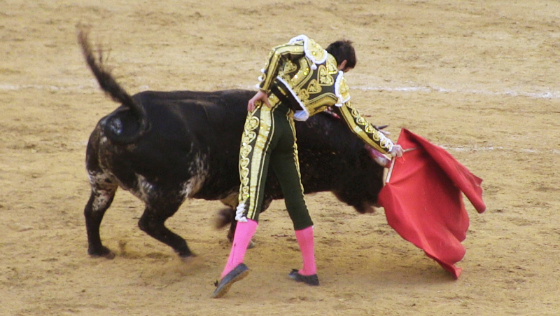 Corrida - býčí zápasy ve Valencii.