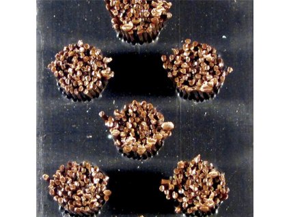 Hliníková gumová čistící vstupní kartáčová venkovní rohož Alu Extra - 80 x 120 x 2,2 cm
