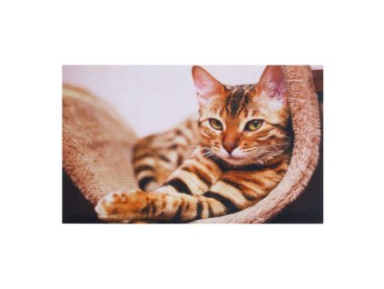 Vstupní rohož FLOMA Gallery Cat - délka 45 cm, šířka 75 cm, výška 0,6 cm