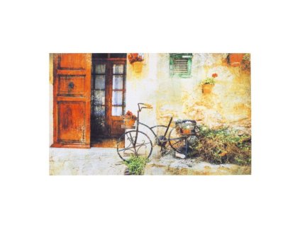 Vnitřní čistící vstupní rohož FLOMA Gallery Bicycle - délka 45 cm, šířka 75 cm a výška 0,6 cm