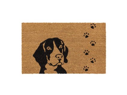 Kokosová vnitřní čistící vstupní rohož FLOMA Ruco Dog - 45 x 75 x 1,5 cm