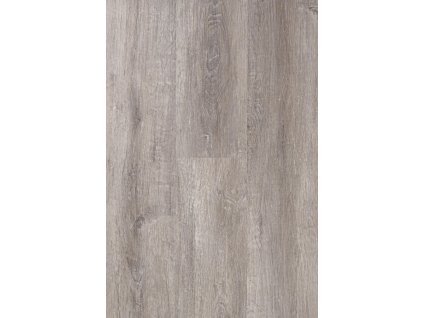 regina decor