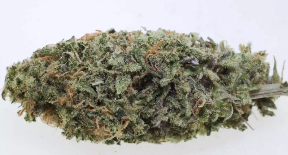 cbd-bluten-canna-tsu