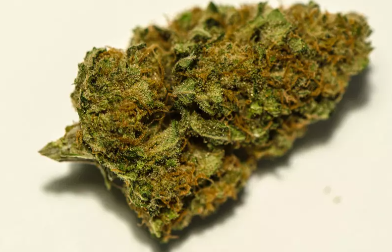 cbd-bluten-harlequin