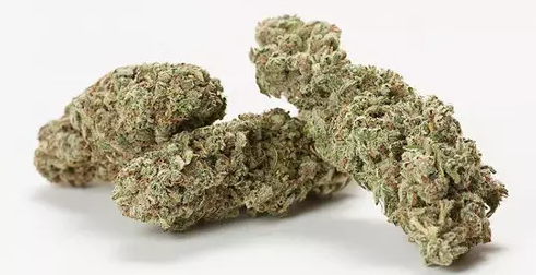 cbd-bluten-stephen-hawking-kush