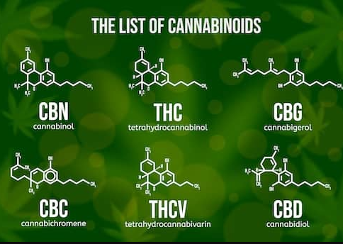 list-cannabinoide