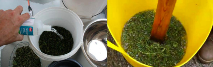 cbd-oel-zubereitung