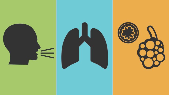 was_ist_copd