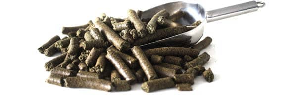 hanfkuchen_pellets_wie_sie_aussehen