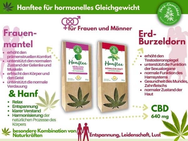 Hanftee-fuer-hormonelles-Gleichgewicht