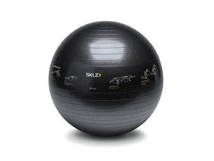 TrainerBall Product1