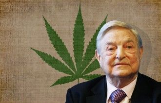 Monsanto Soros Marihuana