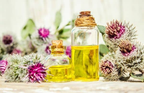 burdock oil