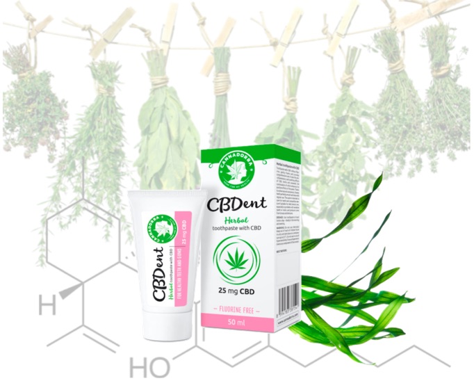 cbdent herbal toothpaste cannadorra