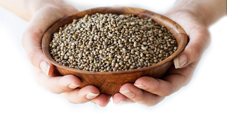 fullseed2