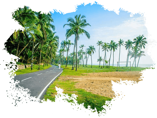 go to nature
