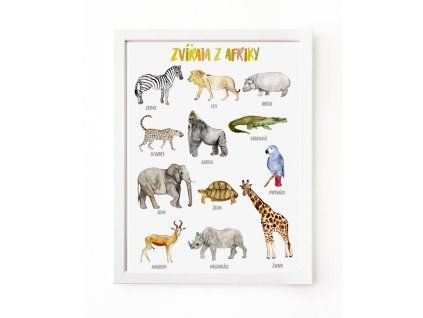 afrika 01