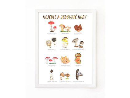 PLAKAT NEJEDLE HOUBY SK web