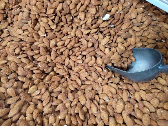 celasirka_src_almond-1688409_1920