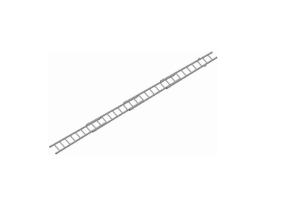 3476 zebrik zachranarsky