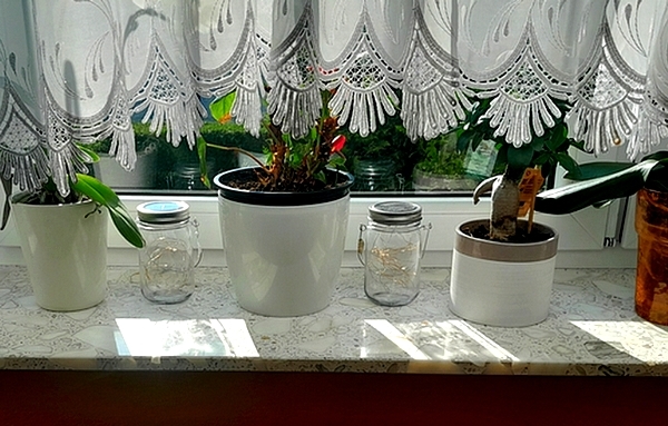 svetlo_zadarmo_girlanda1