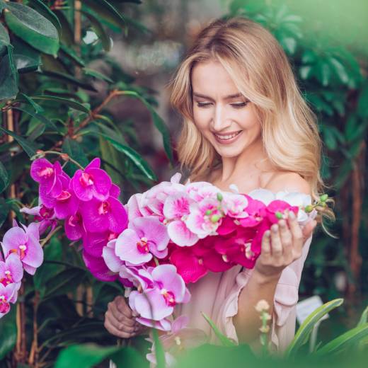 6 tipů na domácí hnojiva pro vaše orchideje