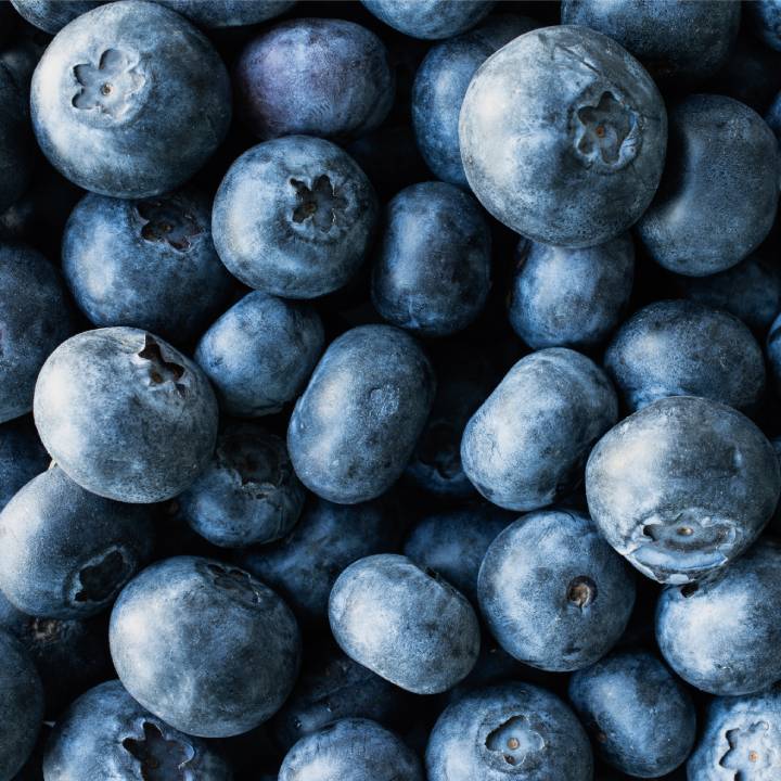 Jak připravit domácí hnojivo pro zdravé a plodné borůvky?