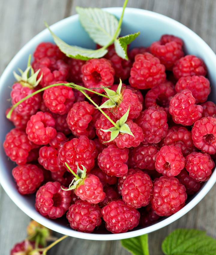 Domácí hnojivo pro maliny: Zdravá úroda z vlastní zahrádky