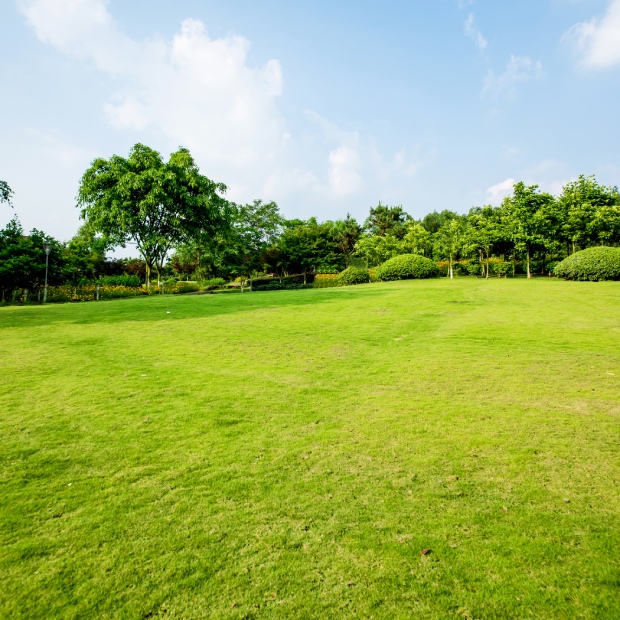 Kdy hnojit trávník na jaře? Průvodce pro zahrádkáře