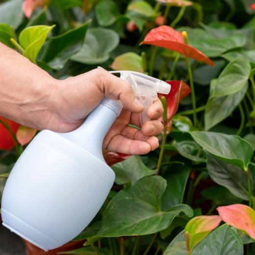 Jak správně hnojit trávník na podzim? Kompletní průvodce