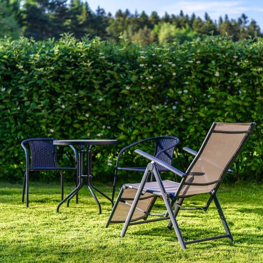 Kdy hnojit trávník? Kompletní průvodce